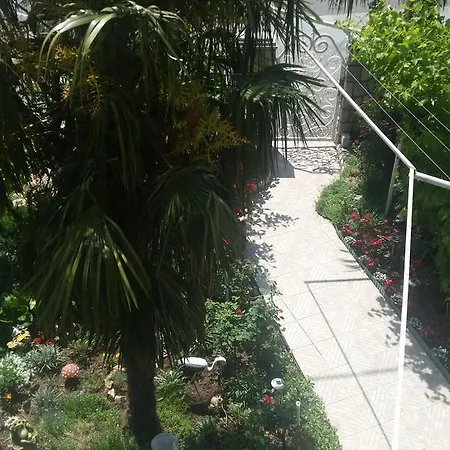 Irena ツリクヴェニツァ