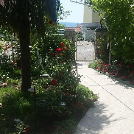 Irena ツリクヴェニツァ